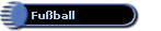 Fu�ball