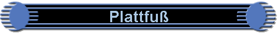 Plattfu�